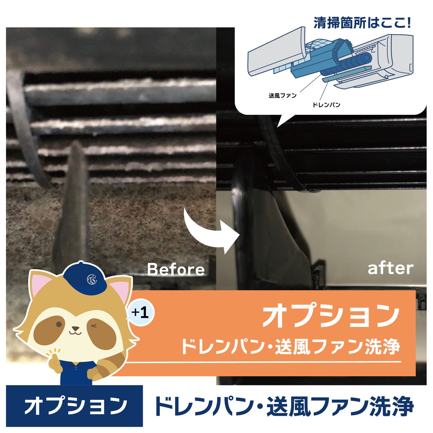 オプションサービス(ドレンパン・送風ファン洗浄)