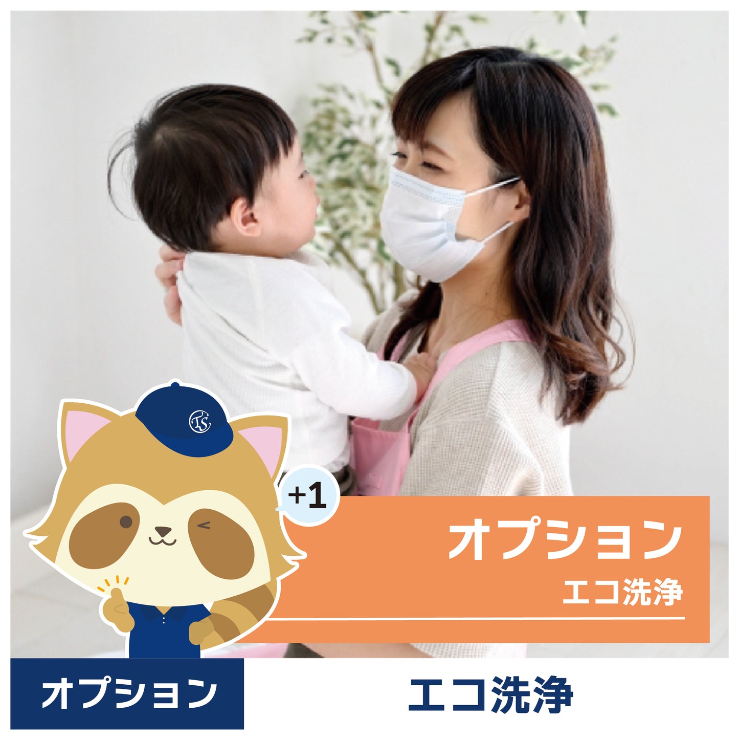 オプションサービス(エコ洗浄)