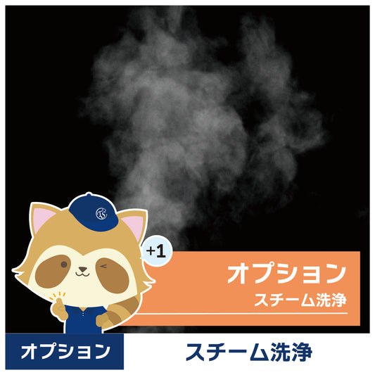 オプションサービス(スチーム洗浄)