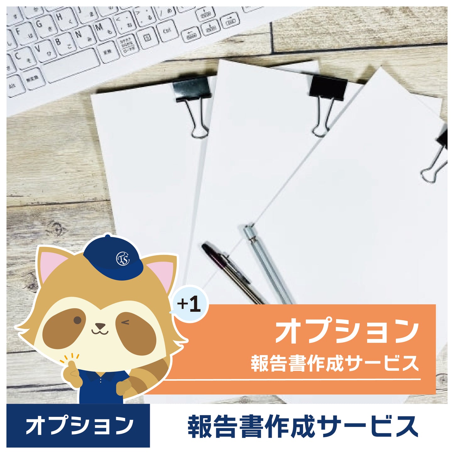 オプションサービス(報告書作成)