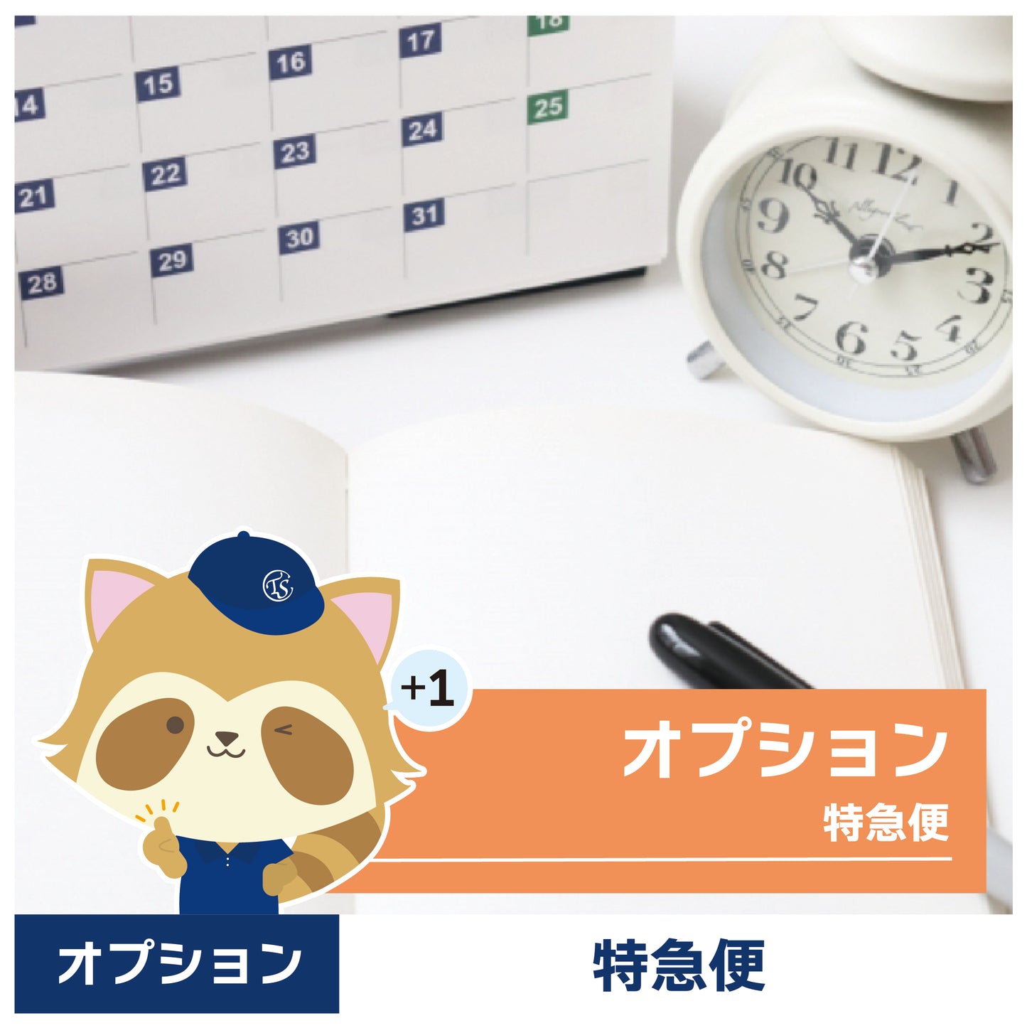 オプションサービス(特急便・土日祝日対応)