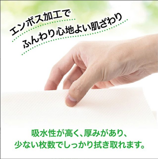 竹パルプペーパータオル（小判）－環境配慮で選ばれる竹パルプ