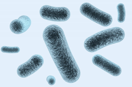 ノロウイルスとインフルエンザの違い