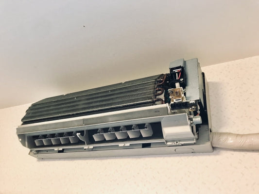 カビを根絶するプロの洗浄工程